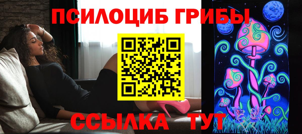 Псилоцибиновые грибы Psilocybe  Вход с VPN  Псилоцибиновые грибы GOLDEN TEACHER  Котлас 