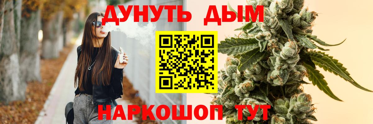 Канабис сатива Котлас